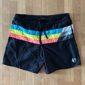 Body Glove Swimming Trunks (Retro Rainbow)